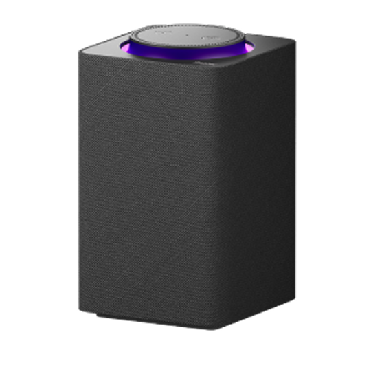 Birinci nesil Station